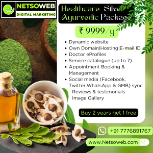 healthcare silver ayurvedic package www.netsoweb.com rs 9999
